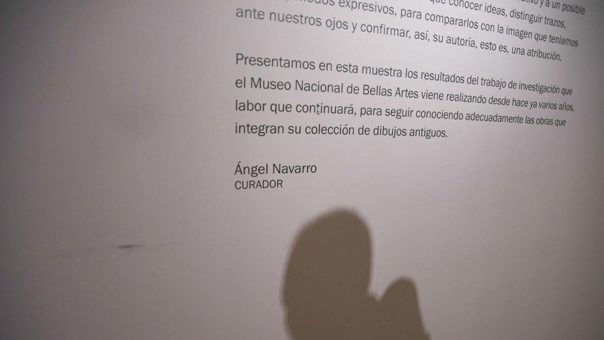 La exhibicin cuenta con obras de Parmigianino Giorgio Vasari Guido Reni Giovanni Battista Gaulli Federico Barocci Rafael Sanzio Miguel ngel y Leonardo da Vinci Foto Pablo Aeli