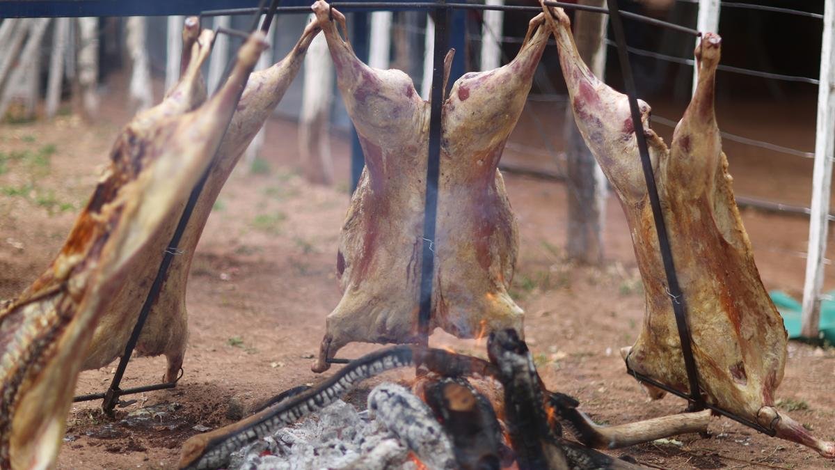 El cordero asado fue el protagonista saliente de la XIX Fiesta Provincial del Cordero Foto Ramiro Gmez