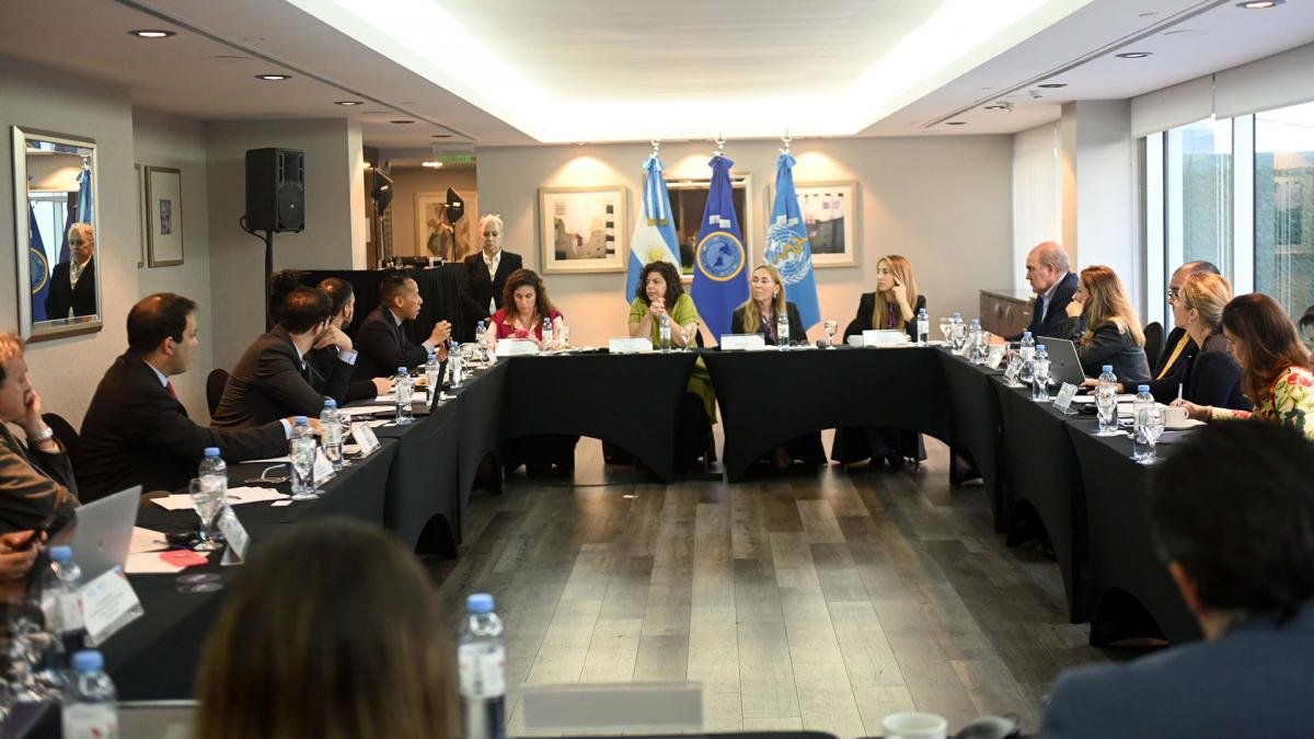 La ministra de Salud Carla Vizzotti encabez el encuentro de expertos sobre movilidad sustentable Foto Leo Vaca