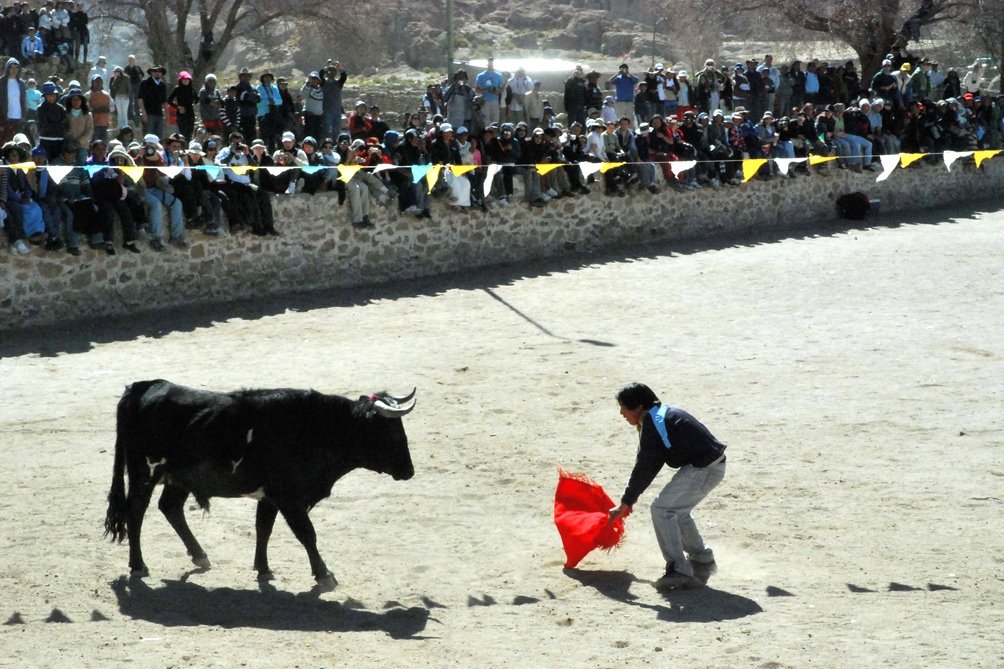 El Toreo es una tradicin ancestral que atrae a cientos de turistas Foto Archivo