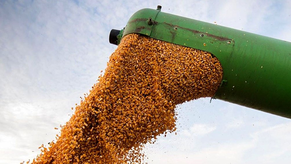 Turqua particip junto con la ONU en la mediacin que llev a Ucrania y Rusia a firmar hace ms de un ao un acuerdo que facilitaba las exportaciones de grano en el mar Negro