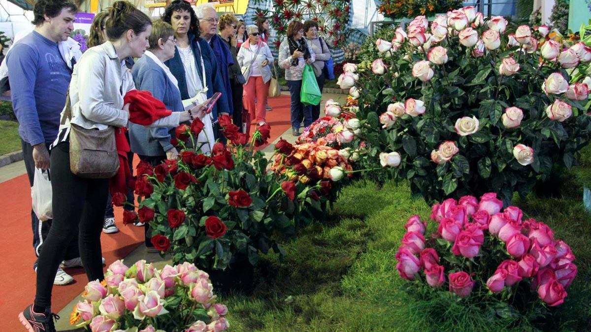En la localidad bonaerense de Escobar tendr lugar la 60 Fiesta Nacional de la Flor Foto Archivo Tlam