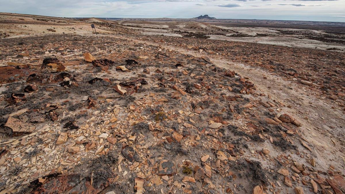 El parque est ubicado a 152 kilmetros de Jaramillo en el noreste de Santa Cruzfoto prensa