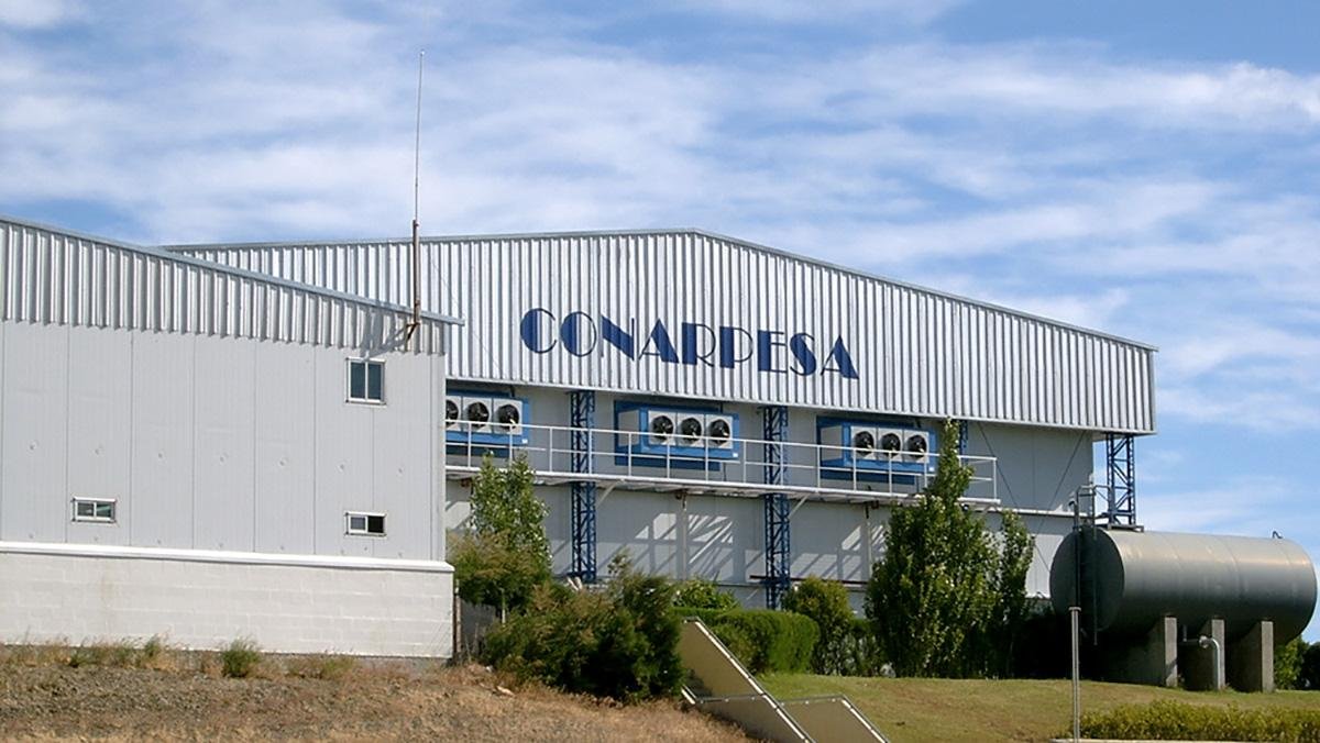 El mecanismo utilizado para la evasin de las divisas en el caso de las ventas de Agropez era la triangulacin