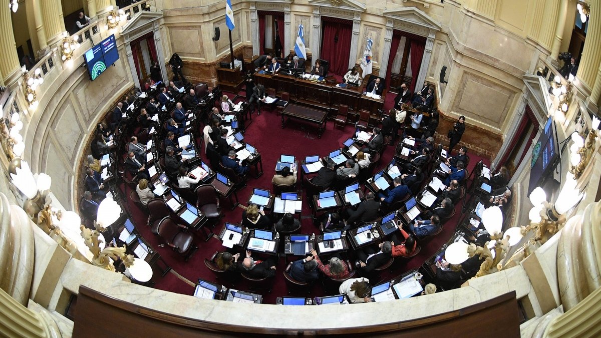 La ley de Respuesta Integral al VIH Hepatitis Virales y otras enfermedades fue sancionada en junio de 2022 Foto prensa Senado