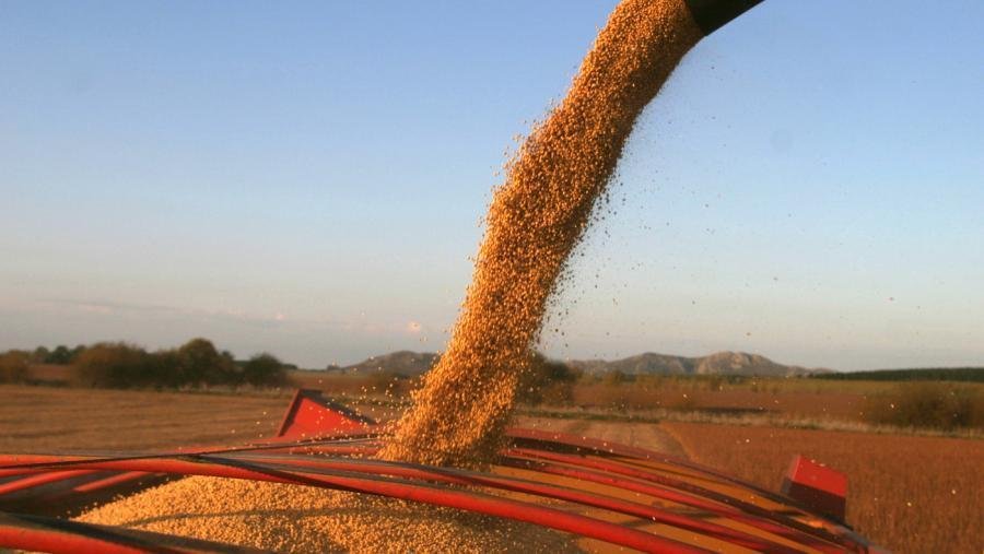 Para Achetoni la intencin oficial es llevar los derechos de exportacin al 15 a todos los productos de economas regionales carne lcteos Foto Pablo Aeli