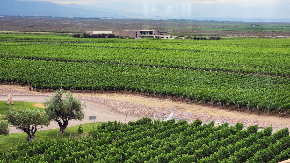 El enoturismo permite conocer desde adentro la produccin y el origen del vino argentino Foto Alfredo Ponce