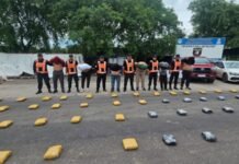 La Policía de Tucumán secuestró 203 kilos de marihuana y hay seis detenidos