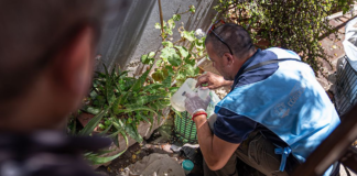 El Ministerio de Salud notificó otros tres casos de chikungunya en el interior provincial