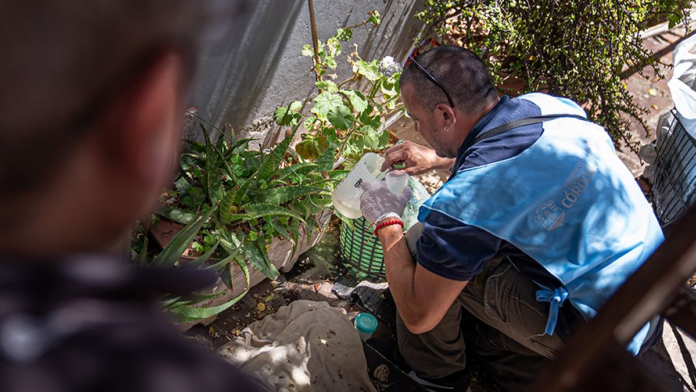 El Ministerio de Salud notificó otros tres casos de chikungunya en el interior provincial