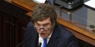 Molesto por una nota de La Nación, Milei atacó a Fernán Saguier con un durísimo mensaje