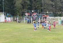 Tablas de posiciones hasta la fecha 5