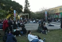 San Francisco tiene un domingo con variadas propuestas: música, arte y feria