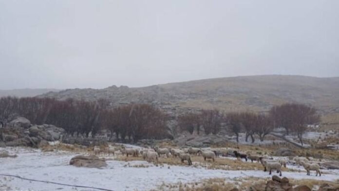 Llegó la nieve a las sierras de Córdoba