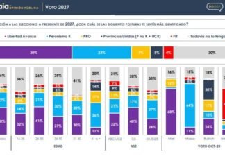 Radiografía del voto joven: una encuesta revela cómo se posiciona el bastión que llevó a Milei al poder de cara al 2027