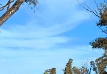 Los Bomberos de Frontera combatieron tres incendios casi en simultáneo