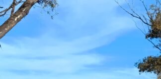 Los Bomberos de Frontera combatieron tres incendios casi en simultáneo