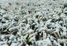 Ola polar en Córdoba: Bell Ville rozó los -9° y fue el punto más frío de la provincia