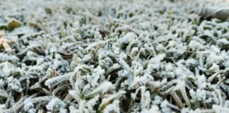 Ola polar en Córdoba: Bell Ville rozó los -9° y fue el punto más frío de la provincia