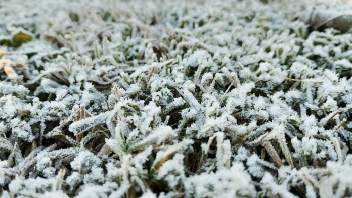 Ola polar en Córdoba: Bell Ville rozó los -9° y fue el punto más frío de la provincia