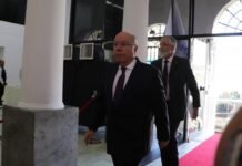 Un ministro de Lula trató a Milei de “payaso” y el canciller dijo que el ataque es “inaceptable”
