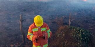 Continúa el alerta por riesgo de incendios en la provincia de Córdoba