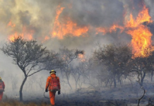 Incendio en Córdoba: detuvieron a un hombre por quemar 15 hectáreas