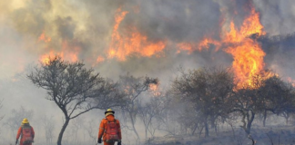 Incendio en Córdoba: detuvieron a un hombre por quemar 15 hectáreas