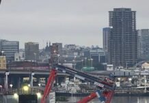 Se derrumbó una grúa de Exolgan y complica la operación del puerto de Dock Sud