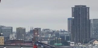 Se derrumbó una grúa de Exolgan y complica la operación del puerto de Dock Sud