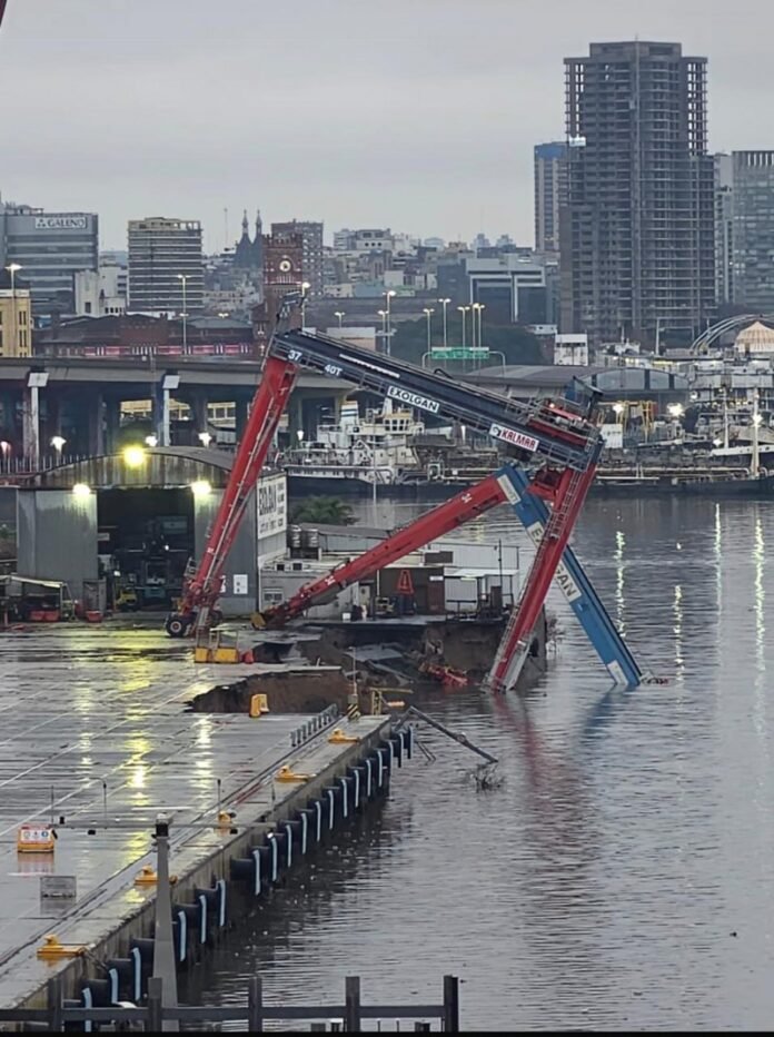 Se derrumbó una grúa de Exolgan y complica la operación del puerto de Dock Sud