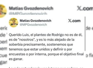 Nueva guerra en redes Torres Vs. Gvozdenovich: «Intentan resolver la conducción por zoom», le dijo el peronista al radical