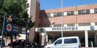 Córdoba: Un niño sufrió fractura de rostro tras ataque de dogo