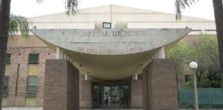 Evoluciona la niña de 2 años atacada por un pitbull: permanece lúcida y comenzó a alimentarse