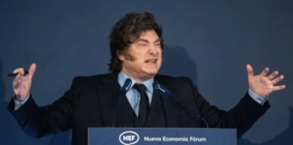Fopea llevó a la ONU su denuncia por el aumento de agresiones a periodistas en Argentina