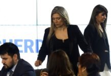 Los aliados bloquean a la senadora de Karina que quiere suceder a Pagotto en la comisión de Acuerdos