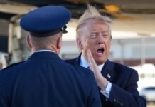Trump dijo que la elección de Brasil fue manipulada y ahora Milei tiene libreto para hablar